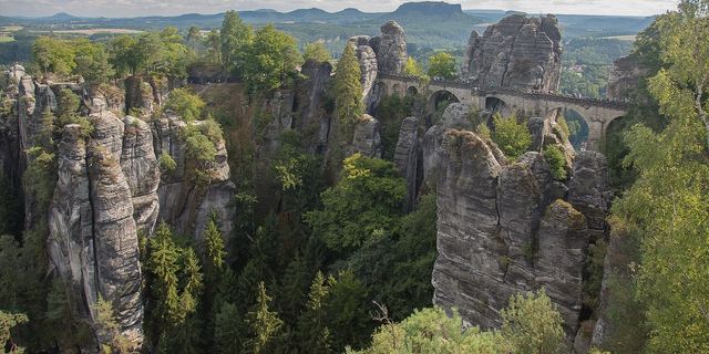 Sächsische Schweiz Wald Natur